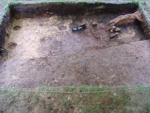 Pozůstatky kůlové konstrukce zachycené v severní části akropole (foto J. Gryc, Archeologický ústav AV ČR Brno, v. v. i.)