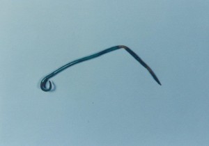 Bronzová jehlice (foto Muzea Těšínska)